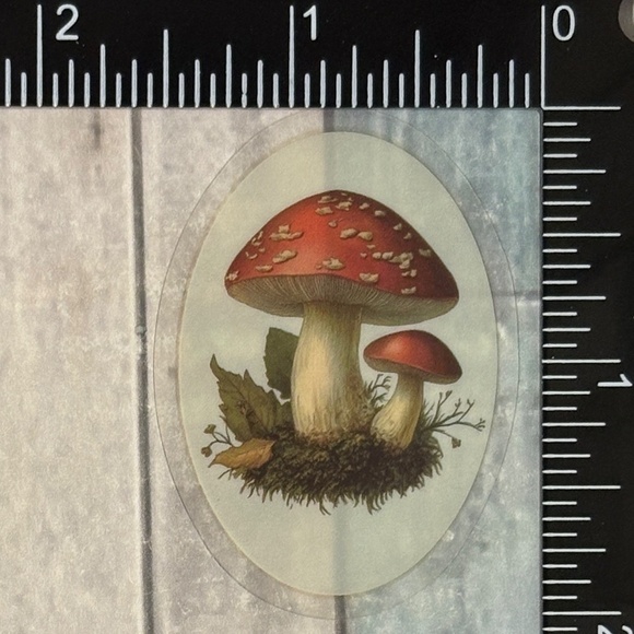 🌀10/$10🌀 Translucent Retro Mushroom Fairy Tale Reusable Waterproof Sticker Dec - Picture 1 of 1